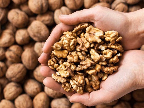 an378-walnuts-hands-732x549-thumb-732x549-1615476292-558-width600height450.jpeg