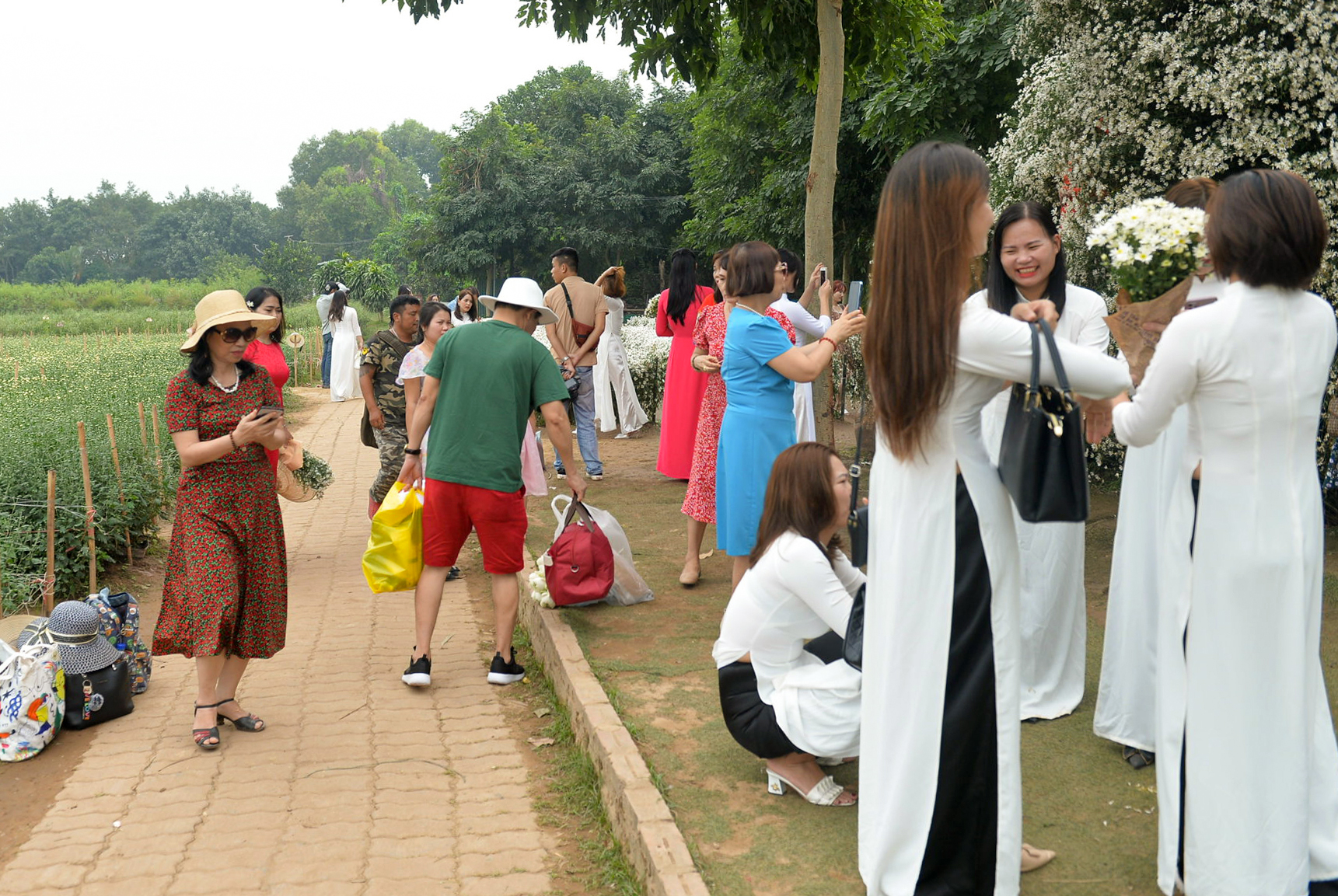 Hà Nội: Tắc đường vì người dân đổ xô đi chụp cúc họa mi - Ảnh 5.