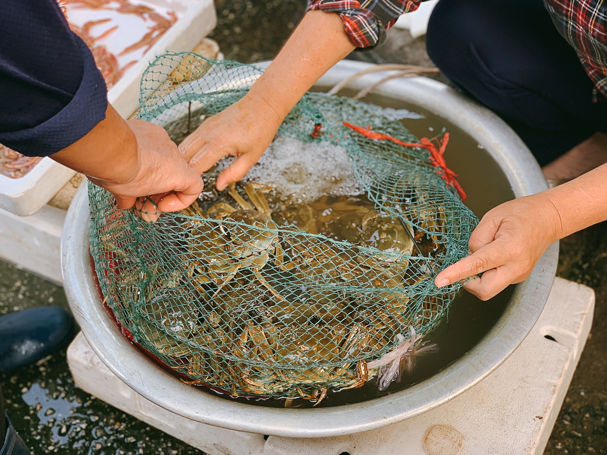 Hải Dương có một món cua đặc biệt khi ở nước ngoài chỉ dành cho giới nhà giàu và sành ăn, về đây chỉ 300k ăn mệt nghỉ - Ảnh 4. Hải Dương có một món cua đặc biệt khi ở nước ngoài chỉ dành cho giới nhà giàu và sành ăn, về đây chỉ 300k ăn mệt nghỉ - Ảnh 4.