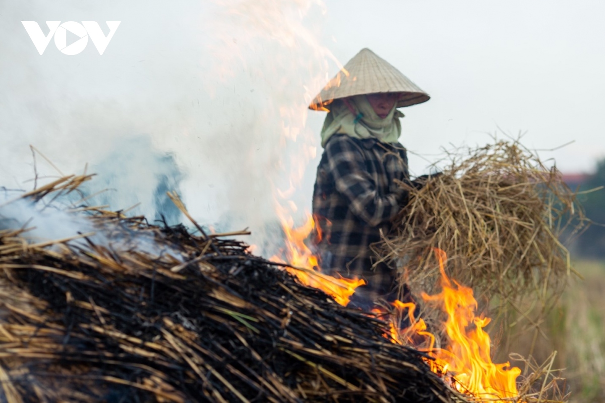 Nông dân ngoại thành Hà Nội đốt rơm rạ, khói mù mịt &quot;bủa vây&quot; người đi đường - Ảnh 15.