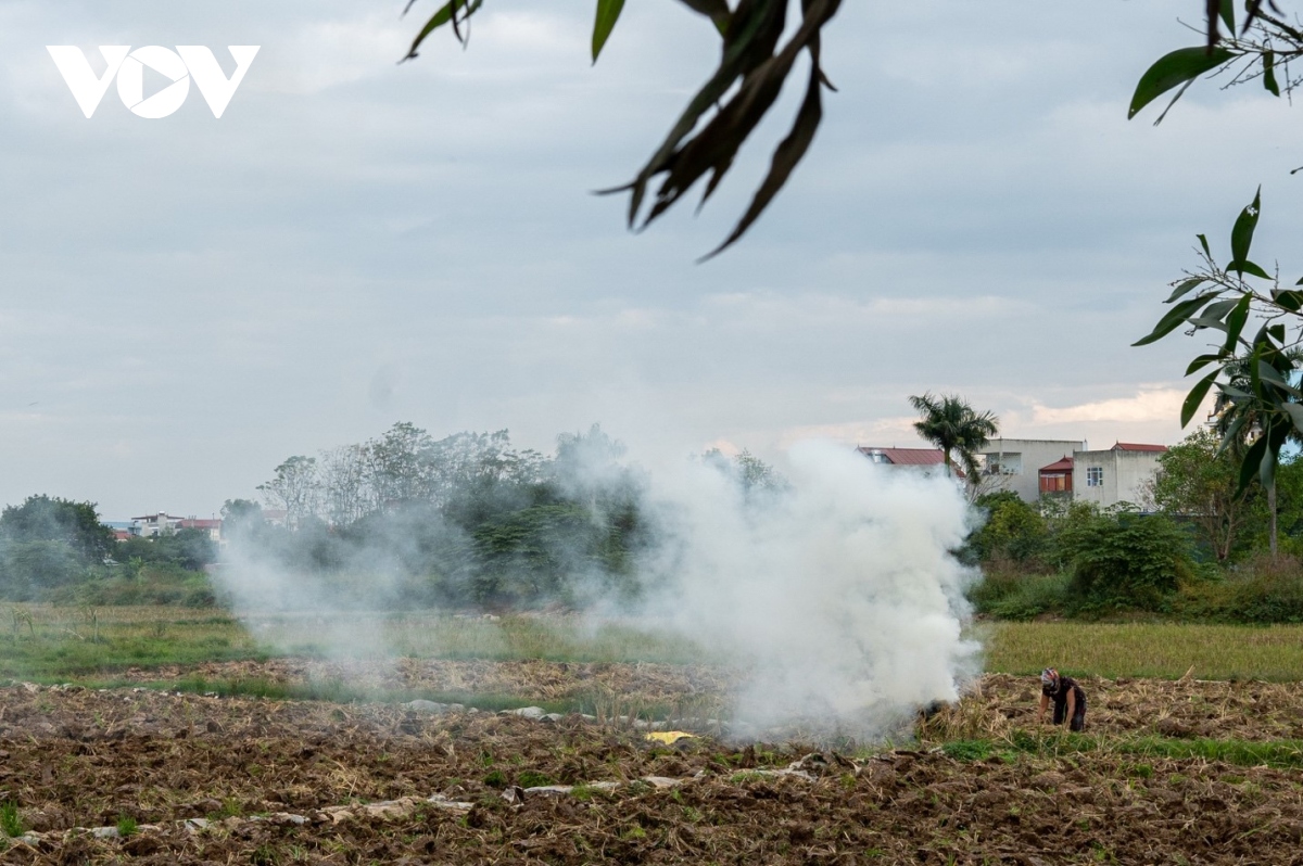 Nông dân ngoại thành Hà Nội đốt rơm rạ, khói mù mịt &quot;bủa vây&quot; người đi đường - Ảnh 3.