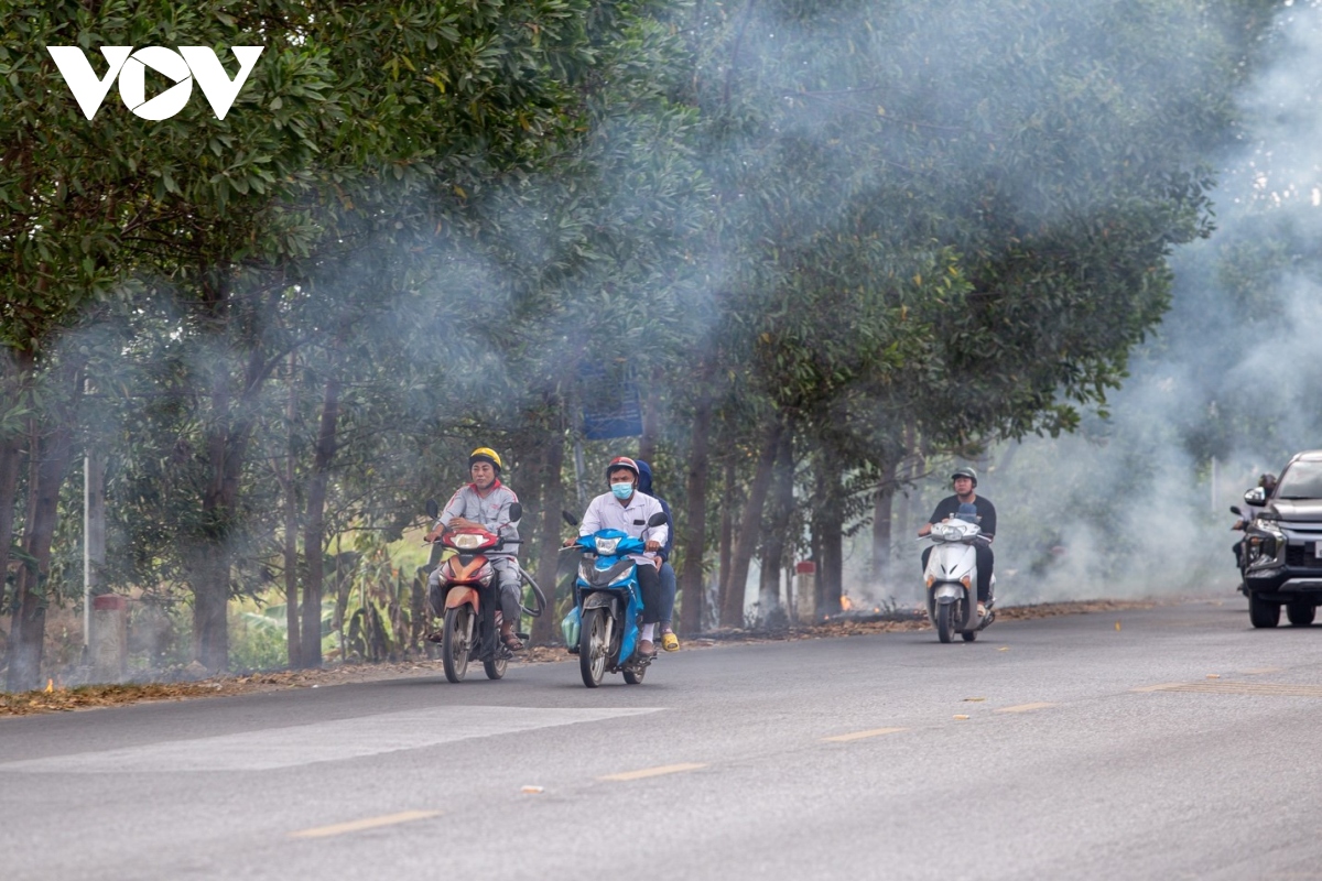 Nông dân ngoại thành Hà Nội đốt rơm rạ, khói mù mịt &quot;bủa vây&quot; người đi đường - Ảnh 7.