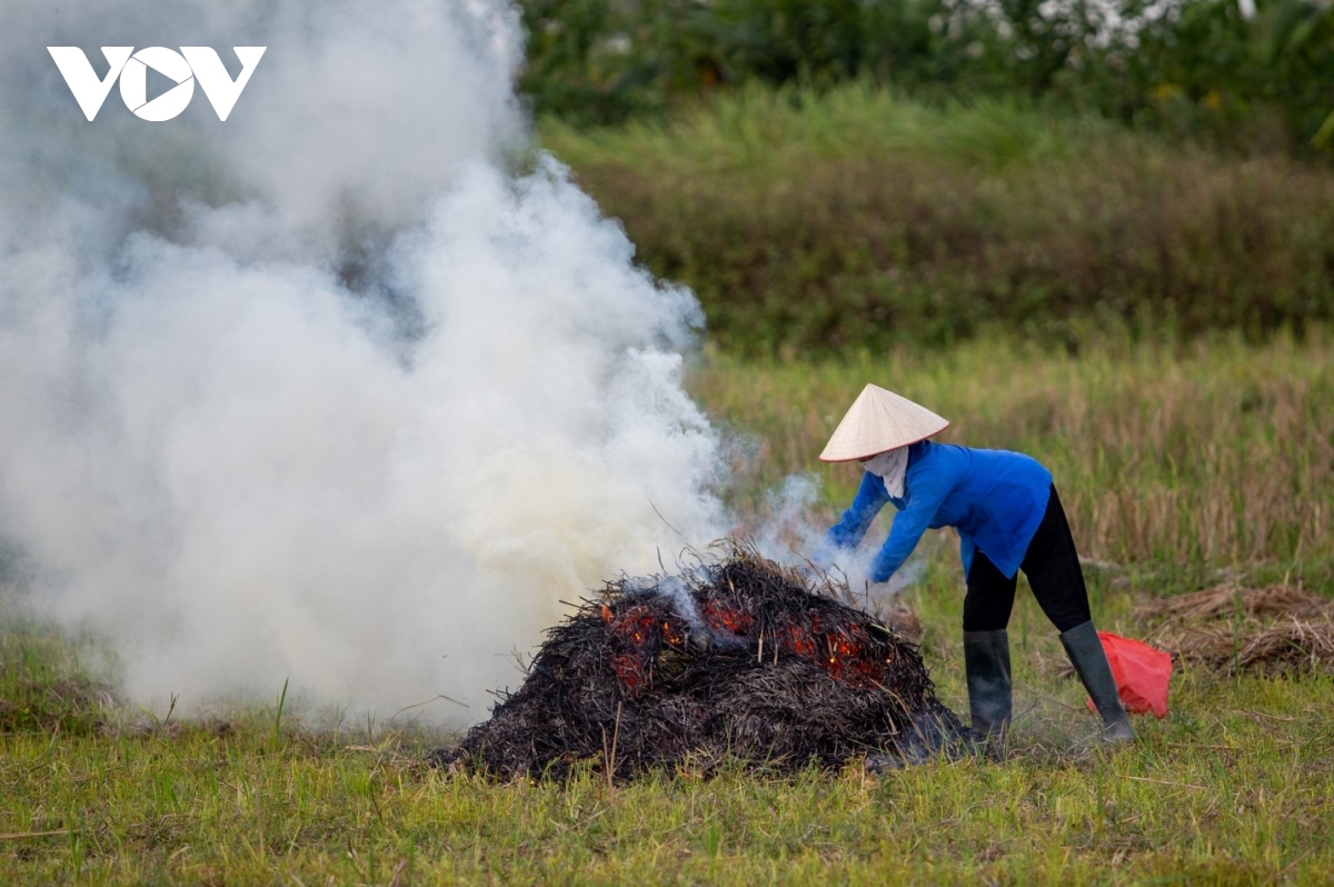 Nông dân ngoại thành Hà Nội đốt rơm rạ, khói mù mịt &quot;bủa vây&quot; người đi đường - Ảnh 10.