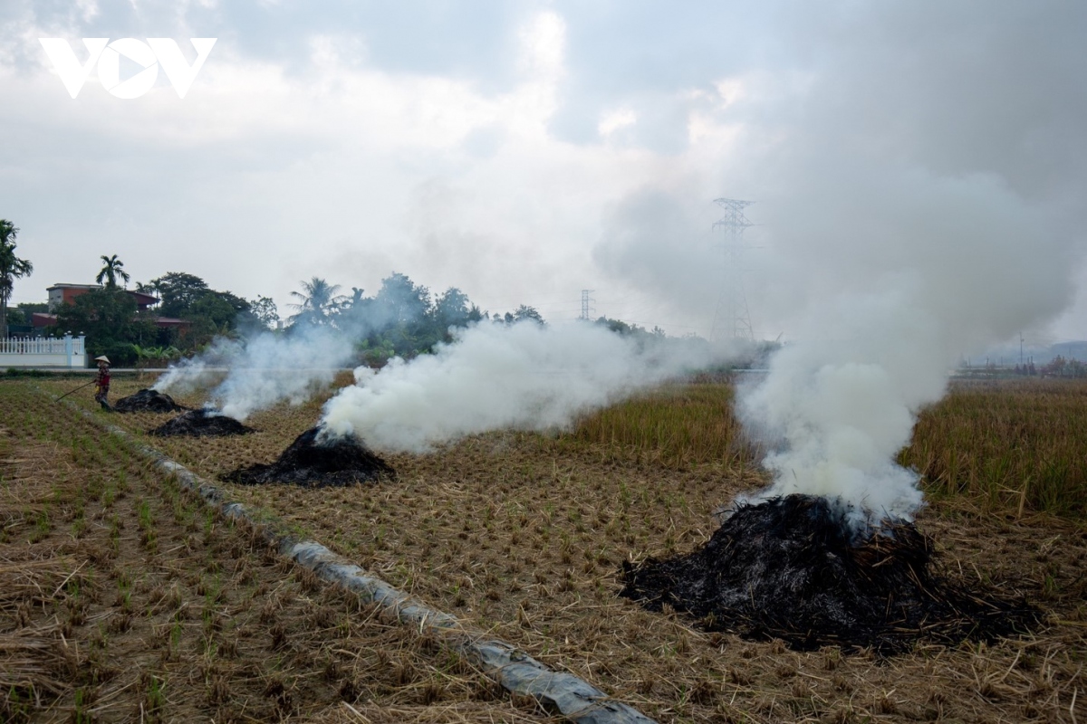 Nông dân ngoại thành Hà Nội đốt rơm rạ, khói mù mịt &quot;bủa vây&quot; người đi đường - Ảnh 11.