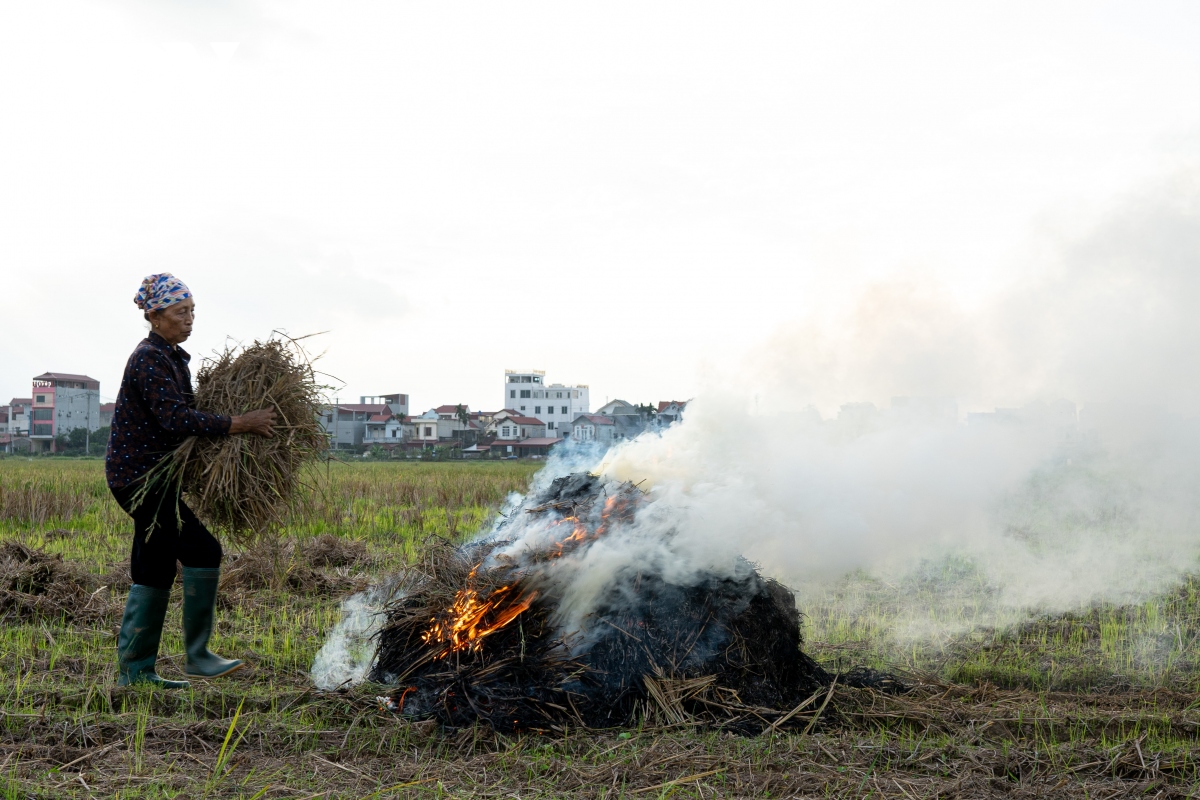 Nông dân ngoại thành Hà Nội đốt rơm rạ, khói mù mịt &quot;bủa vây&quot; người đi đường - Ảnh 14.
