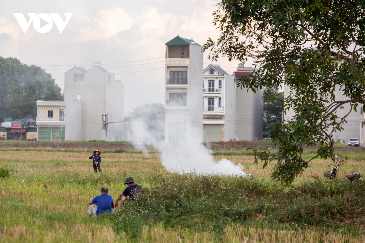 Nông dân ngoại thành Hà Nội đốt rơm rạ, khói mù mịt &quot;bủa vây&quot; người đi đường - Ảnh 13.