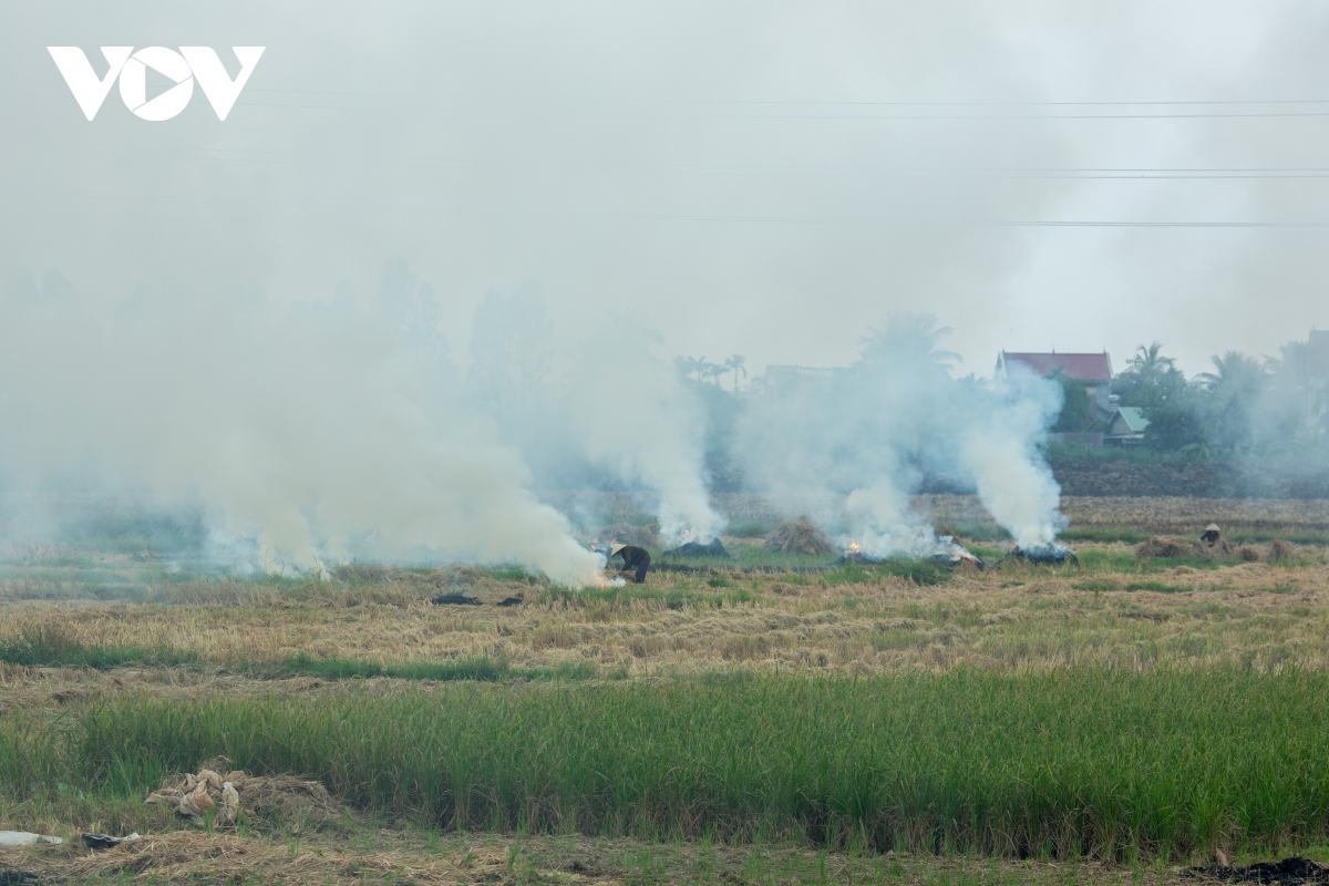 Nông dân ngoại thành Hà Nội đốt rơm rạ, khói mù mịt &quot;bủa vây&quot; người đi đường - Ảnh 2.
