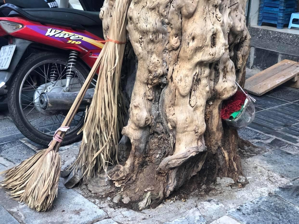 Loạt cây xanh chết trên đường phố Hà Nội nghi do đầu độc - Ảnh 3.