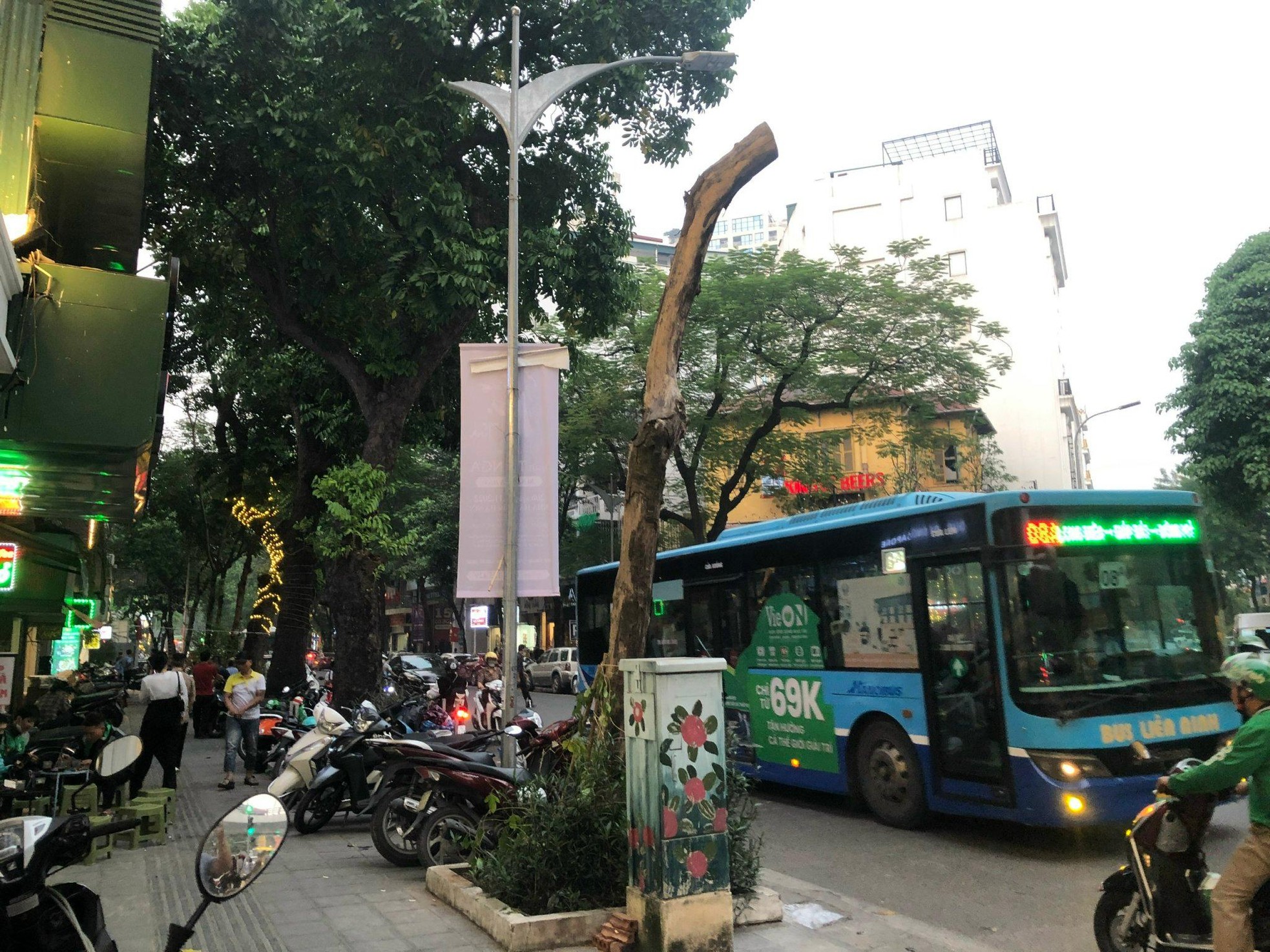 Loạt cây xanh chết trên đường phố Hà Nội nghi do đầu độc - Ảnh 10.