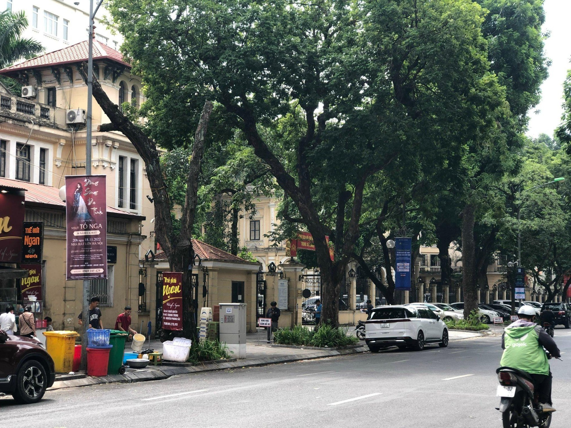 Loạt cây xanh chết trên đường phố Hà Nội nghi do đầu độc - Ảnh 9.