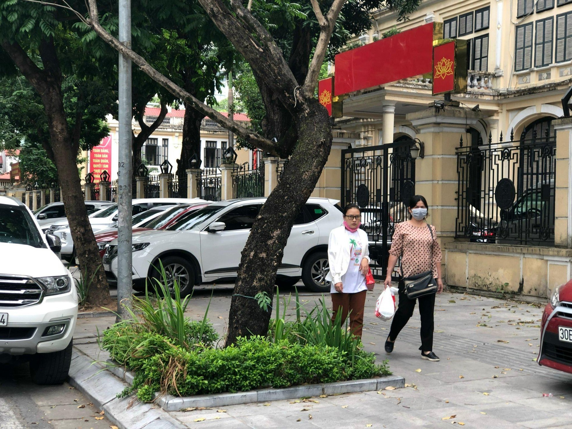 Loạt cây xanh chết trên đường phố Hà Nội nghi do đầu độc - Ảnh 1.