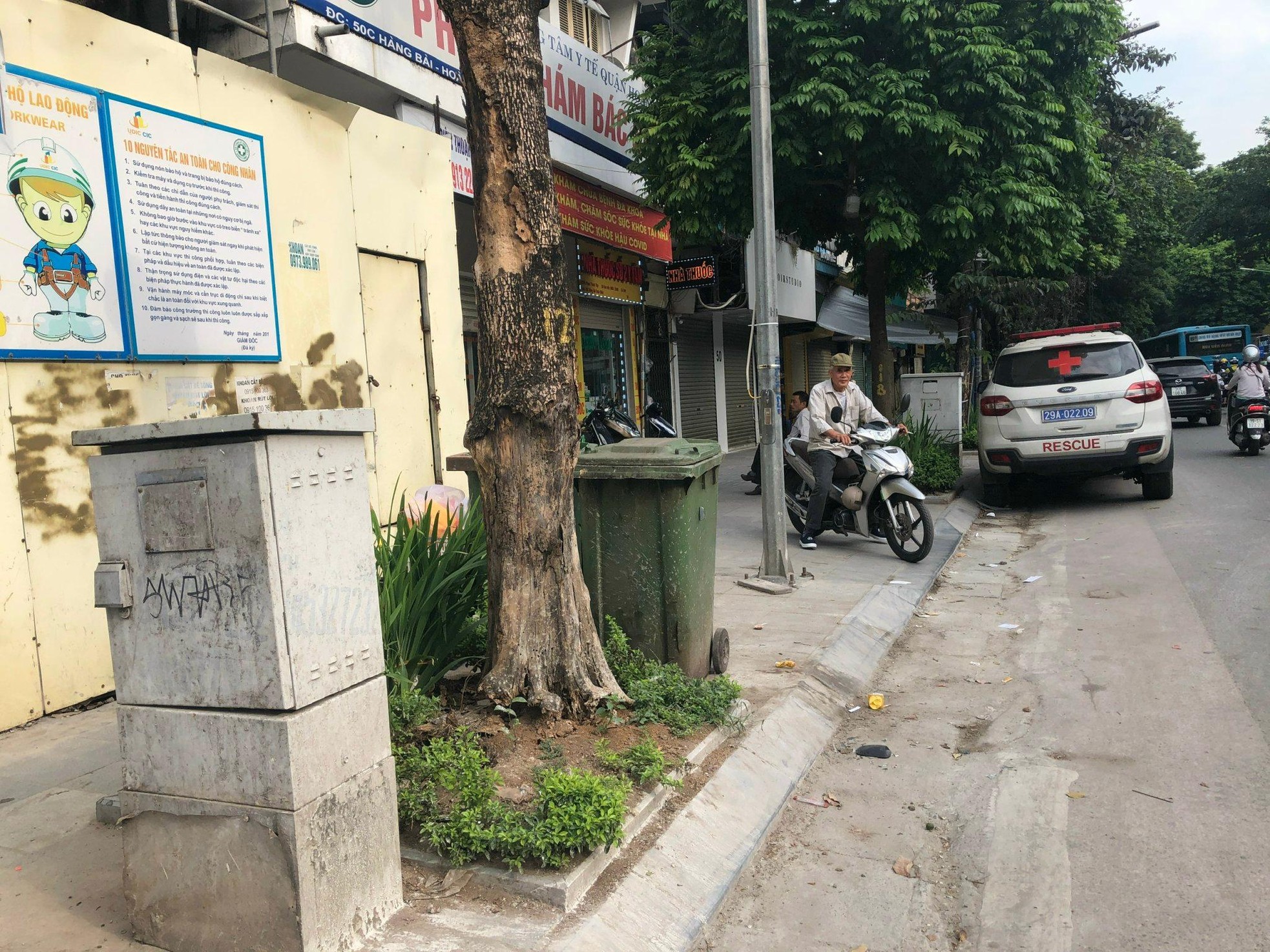 Loạt cây xanh chết trên đường phố Hà Nội nghi do đầu độc - Ảnh 6.