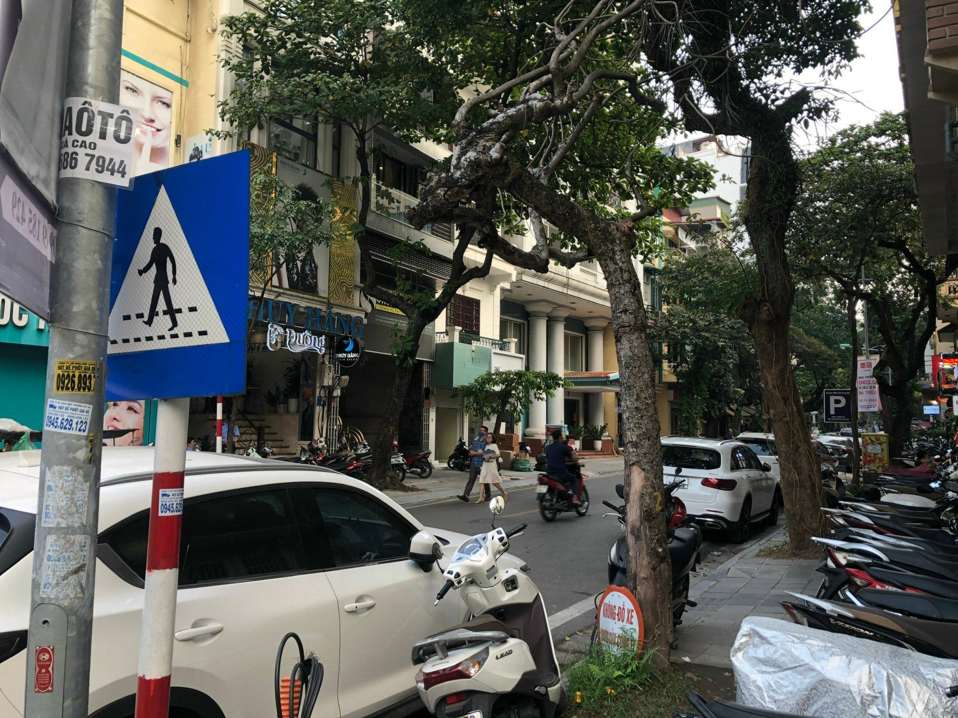 Loạt cây xanh chết trên đường phố Hà Nội nghi do đầu độc - Ảnh 5.