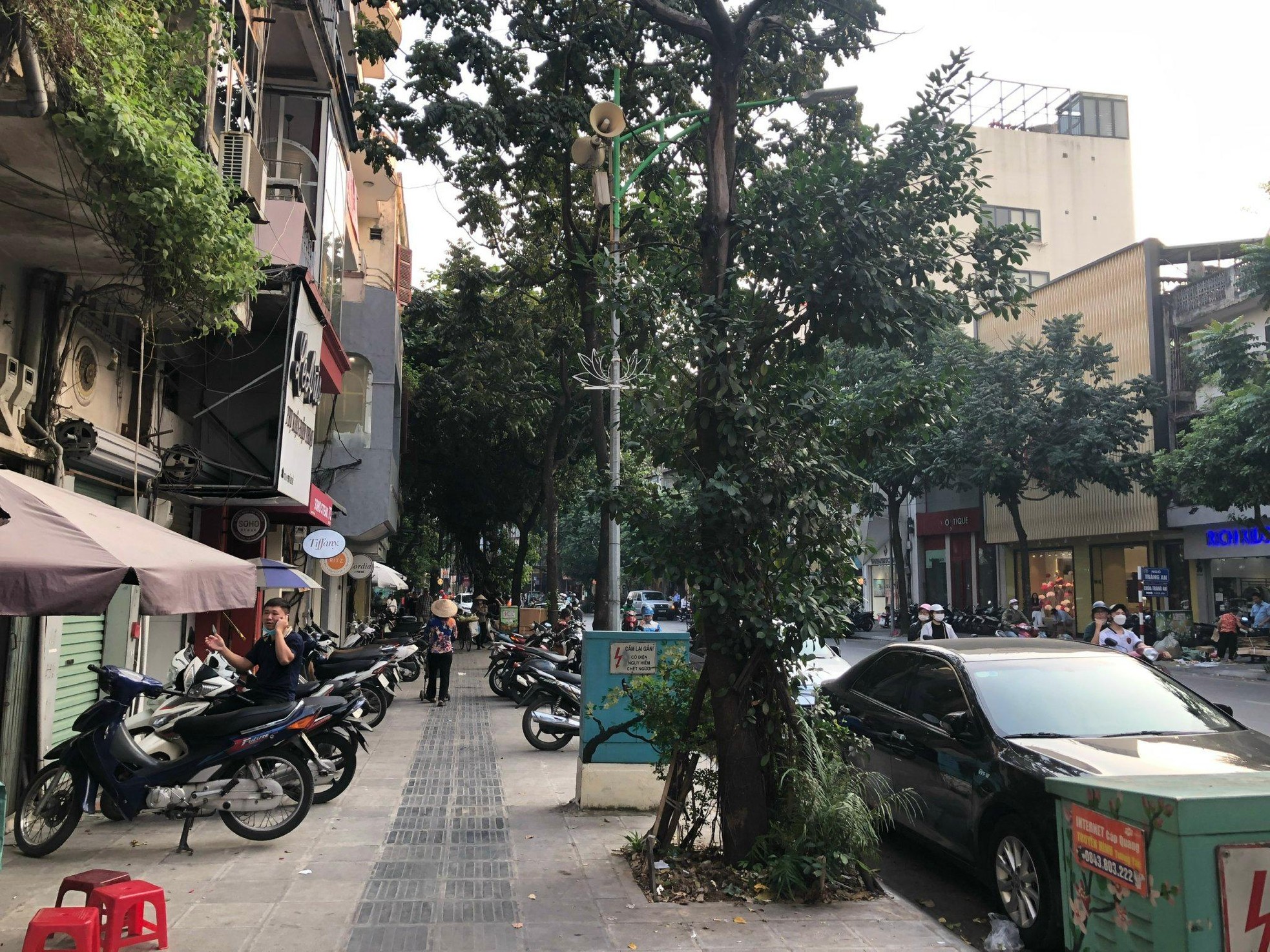 Loạt cây xanh chết trên đường phố Hà Nội nghi do đầu độc - Ảnh 4.