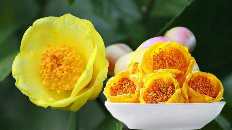 Vùng núi phía Bắc có loại trà sấy khô bán với giá 20 triệu/kg - Ảnh 1.