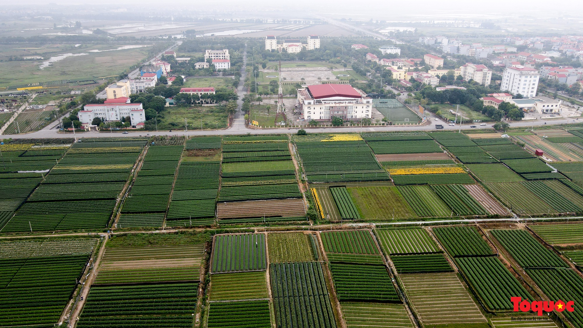 Hoa hồng Mê Linh sẵn sàng khoe sắc tại Fesival hoa lớn nhất Thủ đô - Ảnh 2.