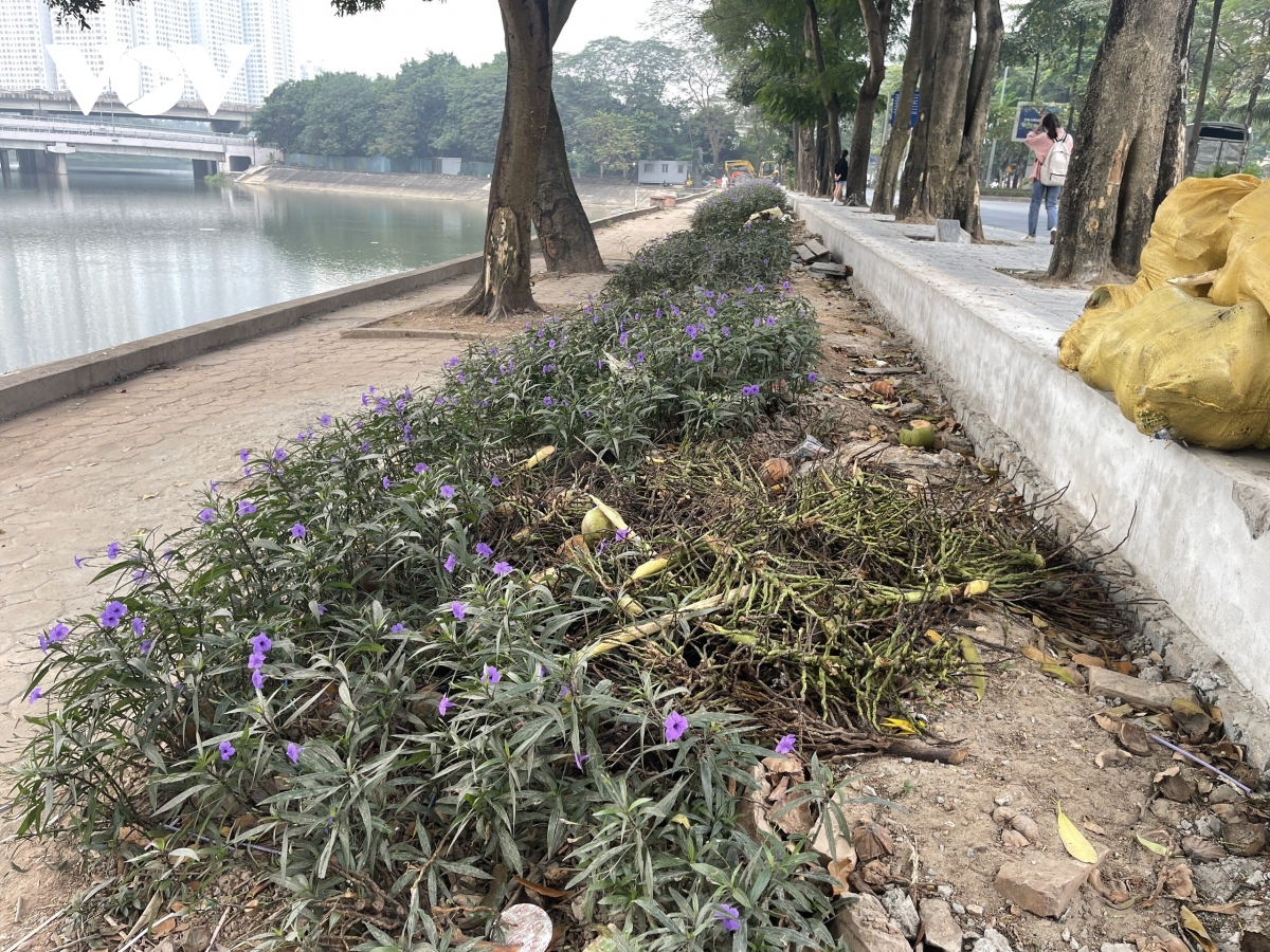 Hồ Linh Đàm ngập tràn rác thải, bờ kè nứt toác tiềm ẩn nguy hiểm - Ảnh 5.