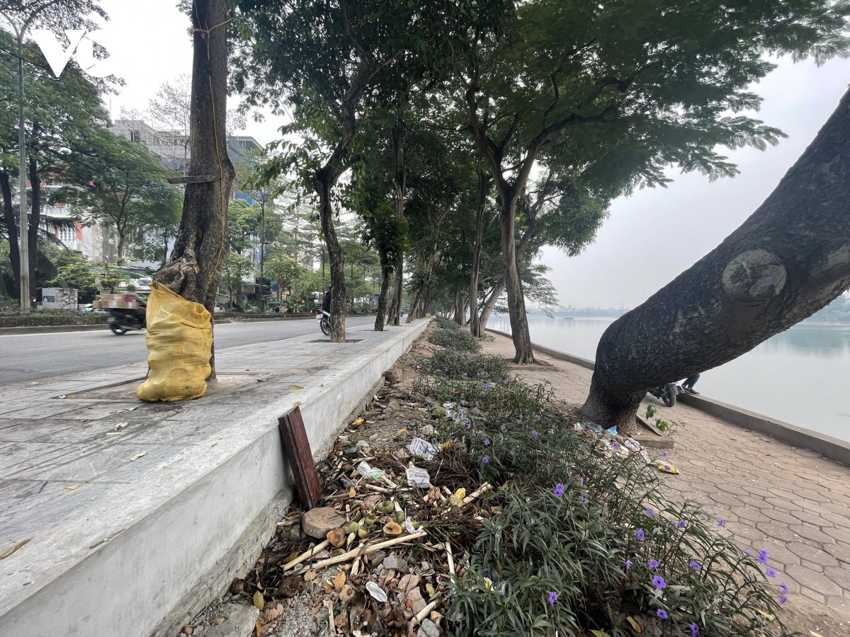 Hồ Linh Đàm ngập tràn rác thải, bờ kè nứt toác tiềm ẩn nguy hiểm - Ảnh 11.