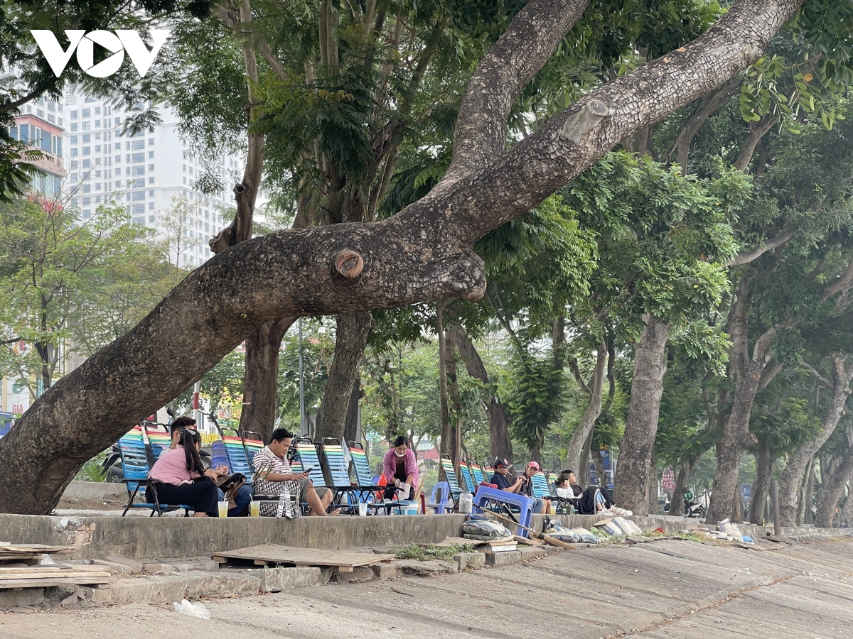 Hồ Linh Đàm ngập tràn rác thải, bờ kè nứt toác tiềm ẩn nguy hiểm - Ảnh 7.