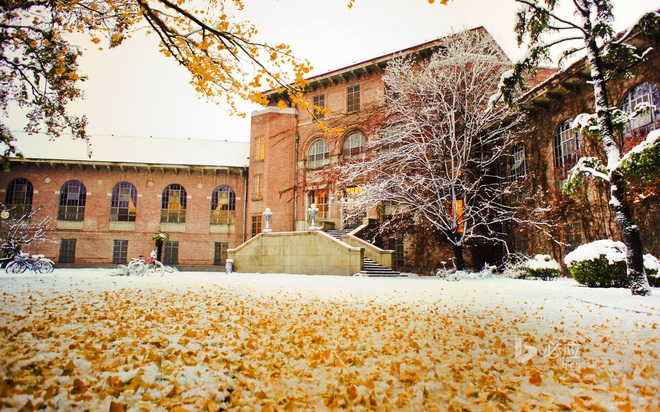 6h thư viện vẫn sáng đèn, &quot;Harvard châu Á&quot; có gì mà sinh viên phải học xuyên đêm? - Ảnh 5.