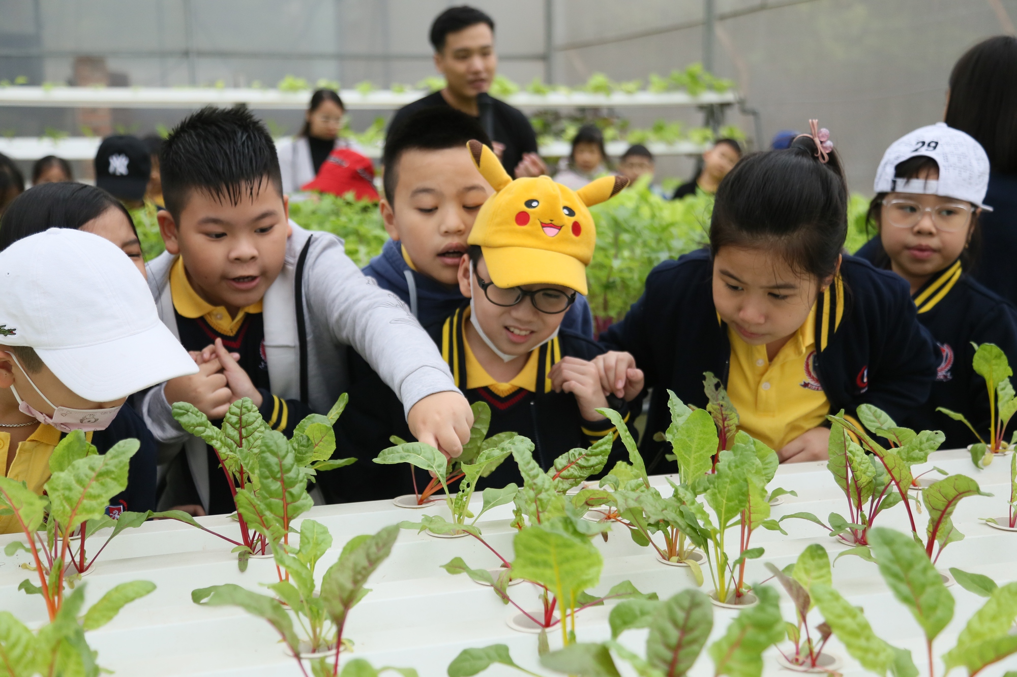 Ngôi trường ở quận Thanh Xuân với mô hình &quot;lớp học đảo ngược&quot;: Học sinh trải nghiệm, sáng tạo mỗi ngày - Ảnh 8.