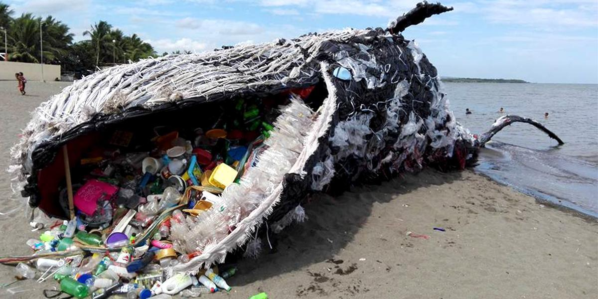 Ăn phải 10 triệu mảnh vi nhựa mỗi ngày, số phận của những chú cá voi lớn nhất thế giới sẽ đi về đâu? - Ảnh 1.