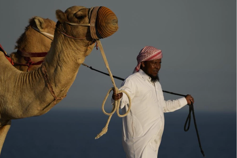 Du lịch Qatar bội thu mùa World Cup: Đến lạc đà cũng &quot;còng lưng&quot; làm thêm giờ vì khách quá đông - Ảnh 2.