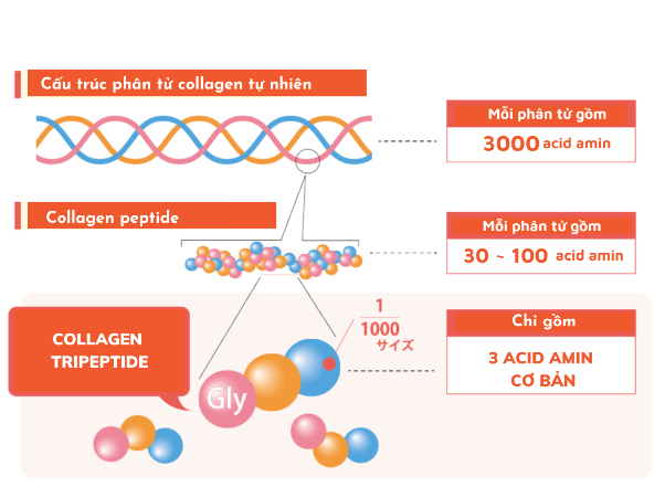 Tham khảo nước uống làm đẹp da Nhật Bản kỳ vọng thay đổi thị trường collagen Việt Nam - Ảnh 1.