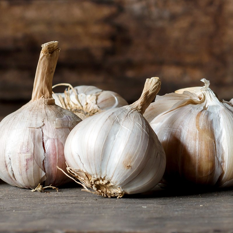 garlic-ThinkstockPhotos-514990456-square-800x800.jpg