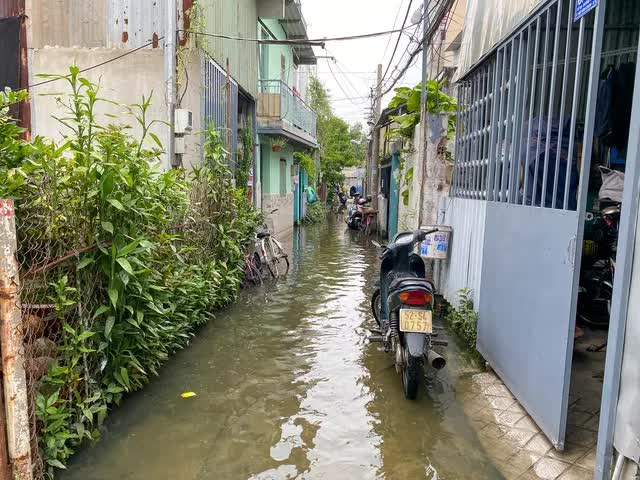 Cảnh chật vật sống chung với nước ngập cả tuần của người dân ở TP.HCM - Ảnh 1.