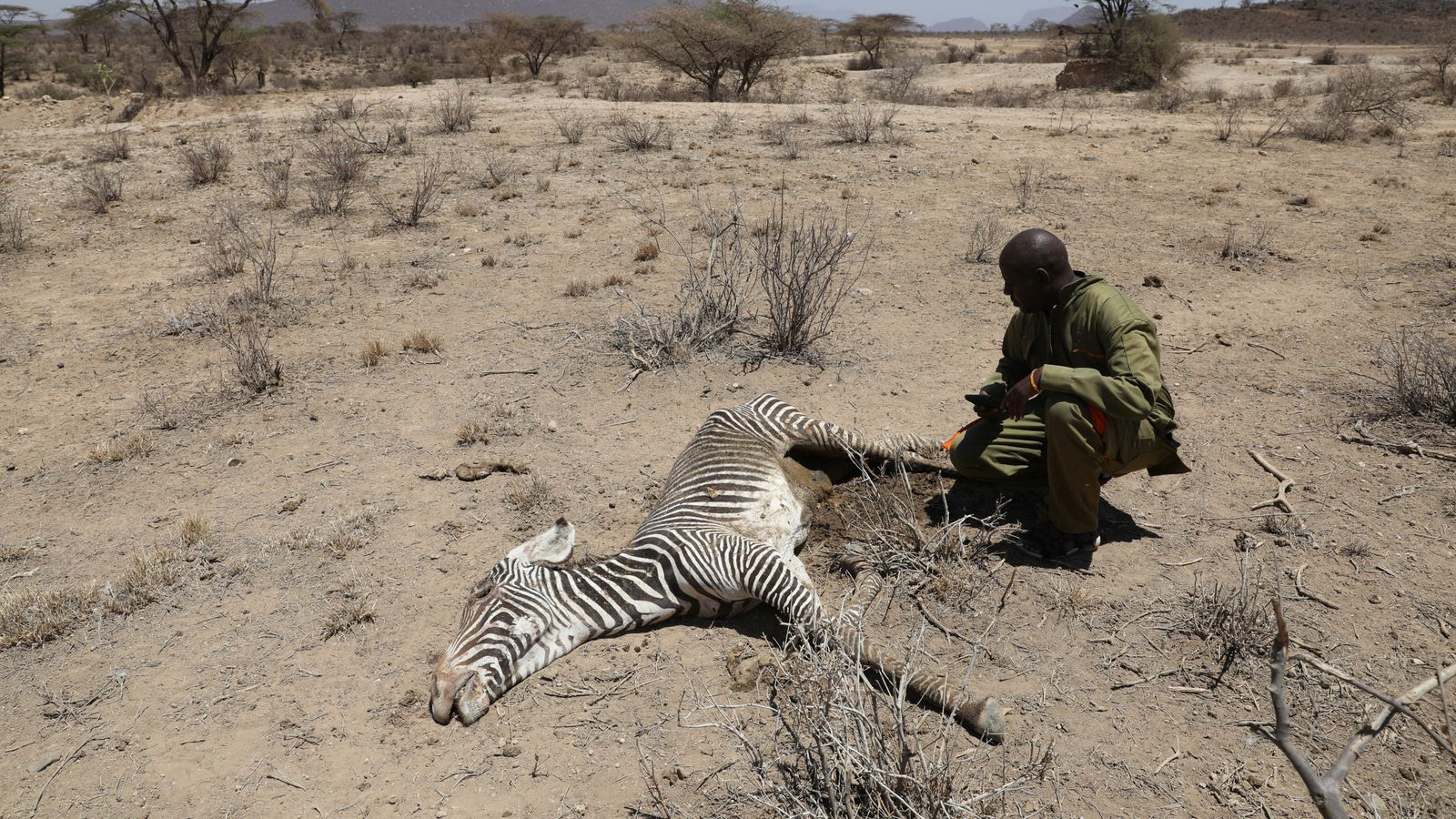 Hạn hán đã giết chết hơn 200 con voi Kenya trong 10 tháng - Ảnh 2.