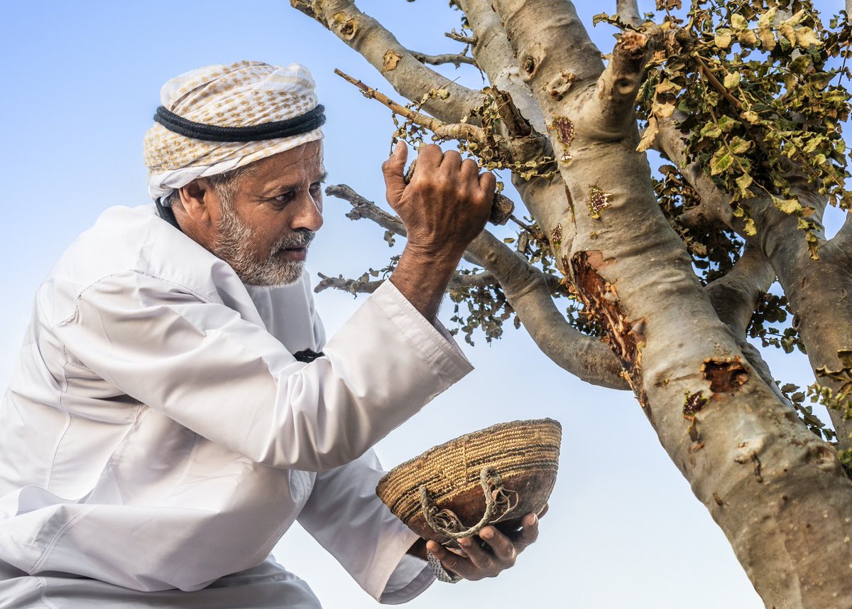 Đất nước Oman: 'Viên đá quý' của Ả Rập với những điều độc đáo thu hút du khách - Ảnh 3.