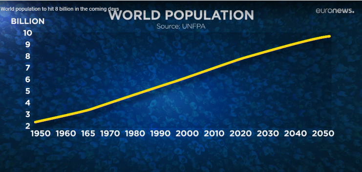 Dân số thế giới sắp chạm ngưỡng 8 tỷ người - Ảnh 1.