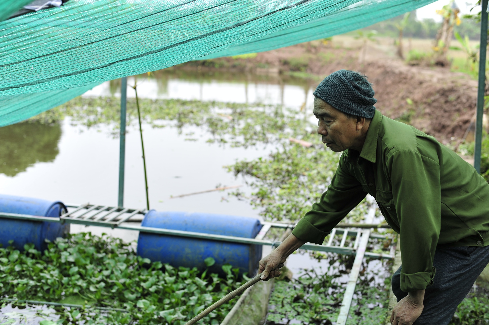 Ông Thiệp đang phan tích từng giai đoạn nuôi ốc nhồi