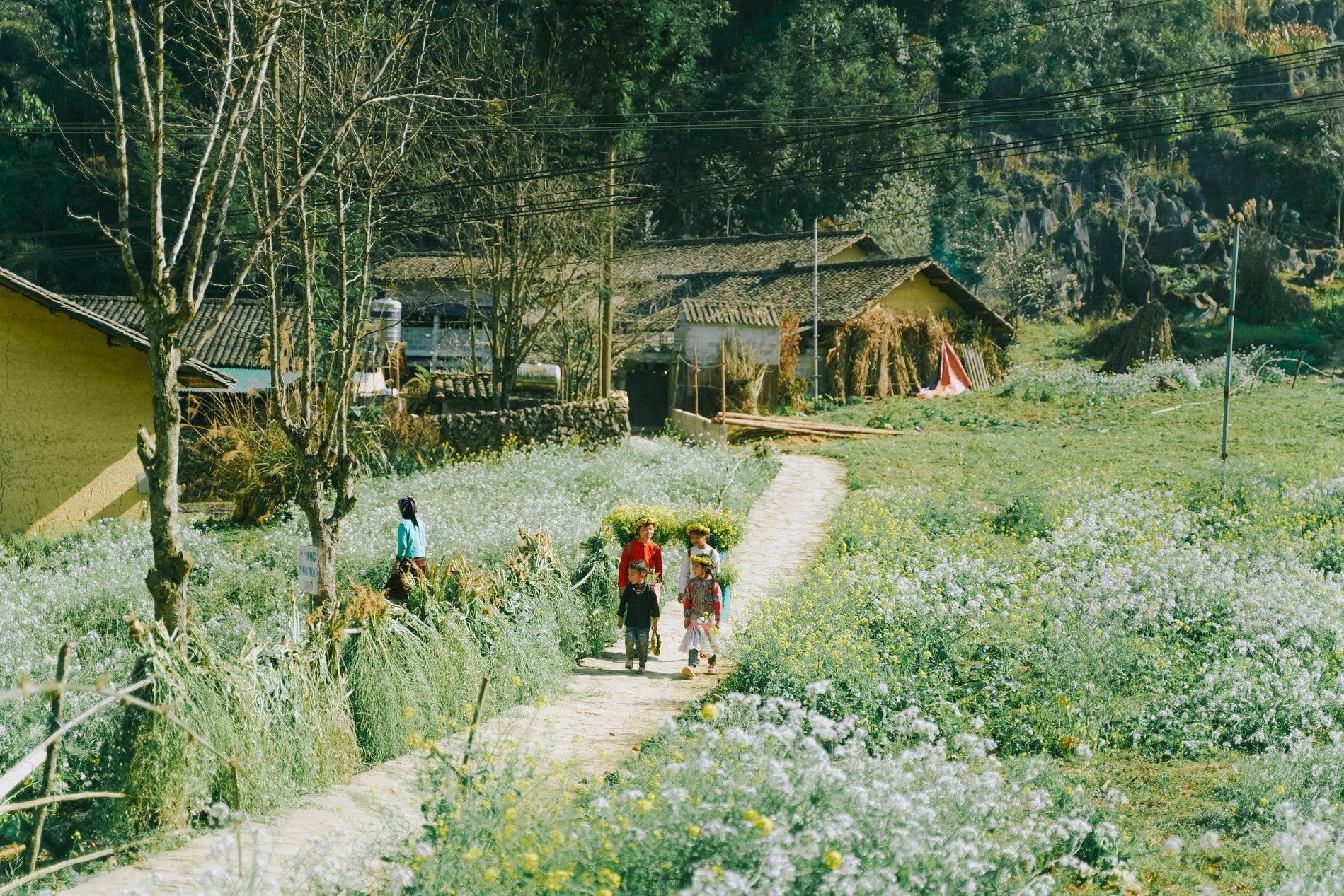 10 điểm du lịch trong nước cho gia đình dịp Tết Nguyên Đán 2023 hấp dẫn afamily