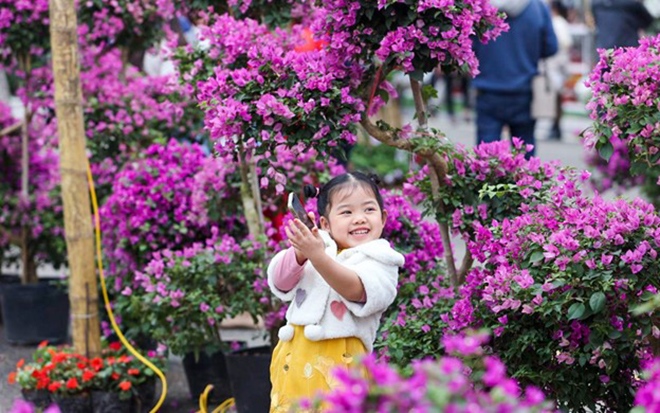 Gần 100.000 lượt người dự lễ hội hoa Mê Linh 2022 - Ảnh 7.