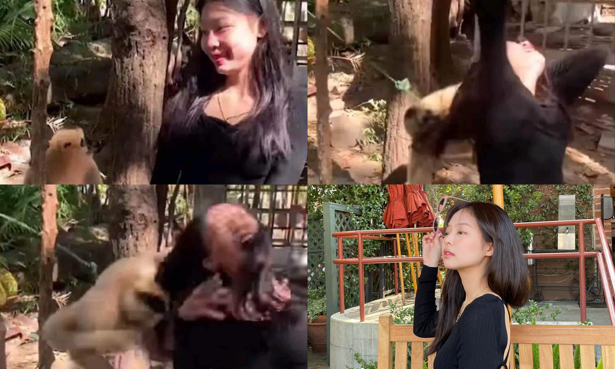 Hot rần rần ảnh Jennie (BLACKPINK) đi sở thú rồi bị khỉ... giật tóc, nhìn kĩ thấy hình như có gì sai sai - Ảnh 2.