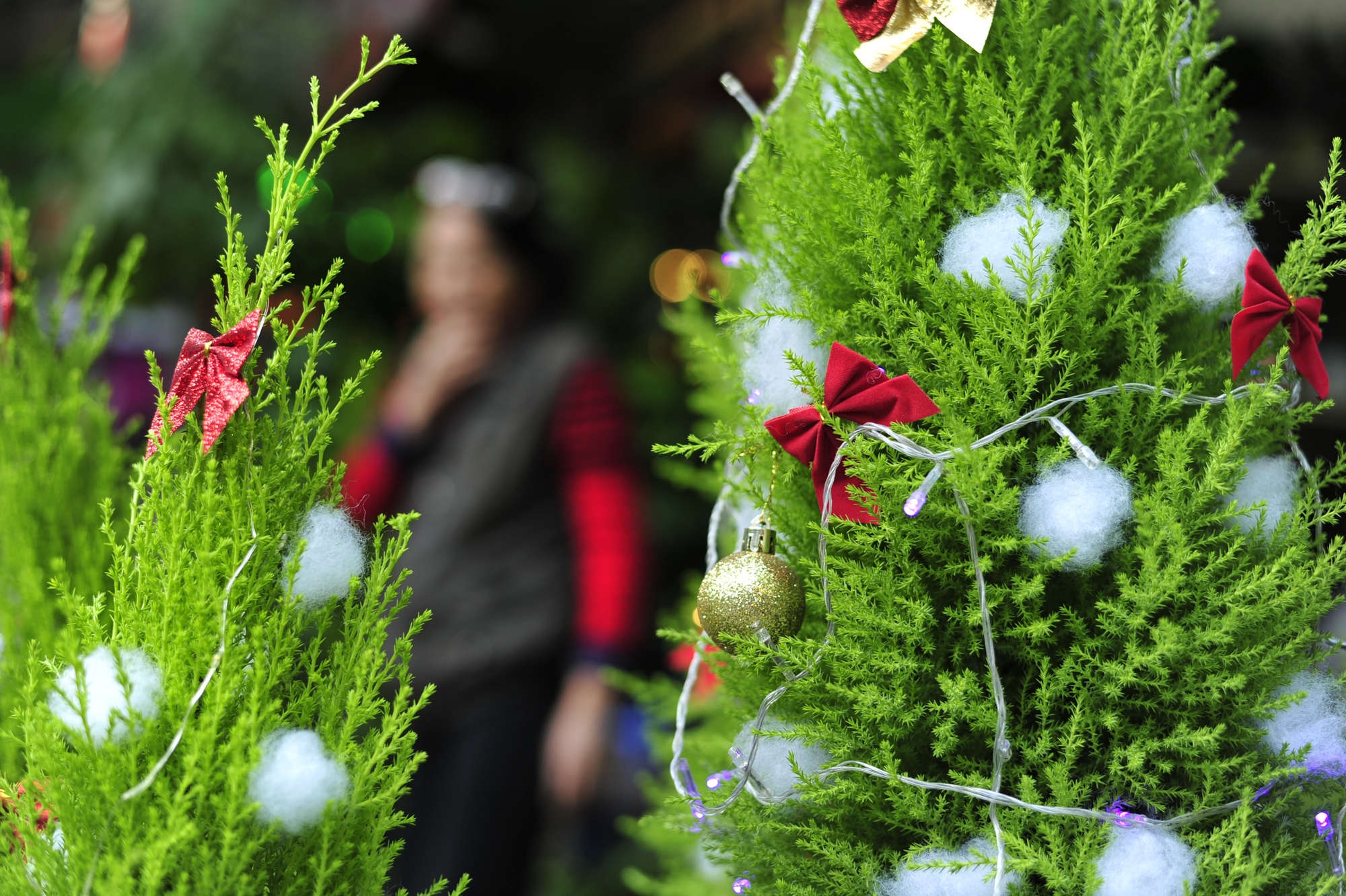 Mỗi cây Noel có giá khoảng 100 đến 150 nghìn đồng