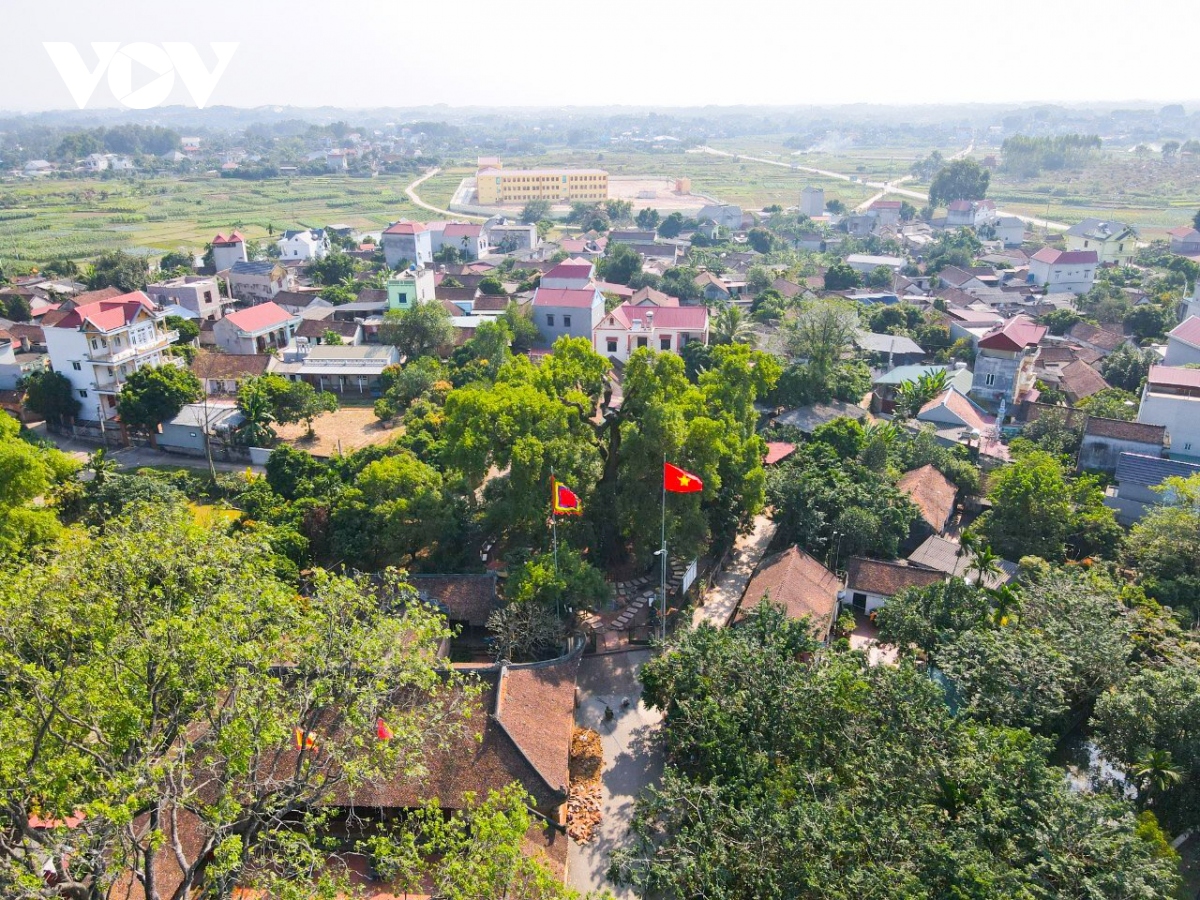 Cận cảnh cây dã hương nghìn năm tuổi hút khách du lịch ở Bắc Giang - Ảnh 1.