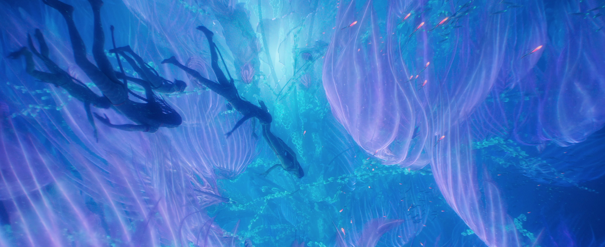 Avatar: The Way Of Water đích thị là kỳ quan thế giới chứ không đơn thuần là một bộ phim - Ảnh 6.