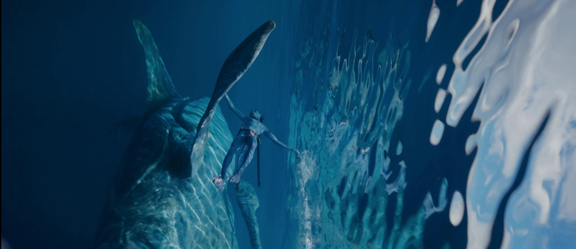 Avatar: The Way Of Water đích thị là kỳ quan thế giới chứ không đơn thuần là một bộ phim - Ảnh 5.