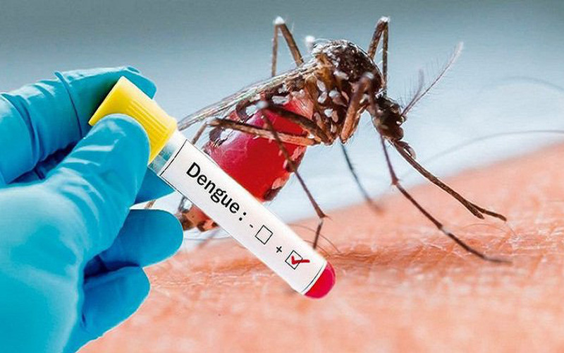 Cứu sống bệnh nhân sốt xuất huyết Dengue nặng có tổn thương đa cơ quan - Ảnh 1.