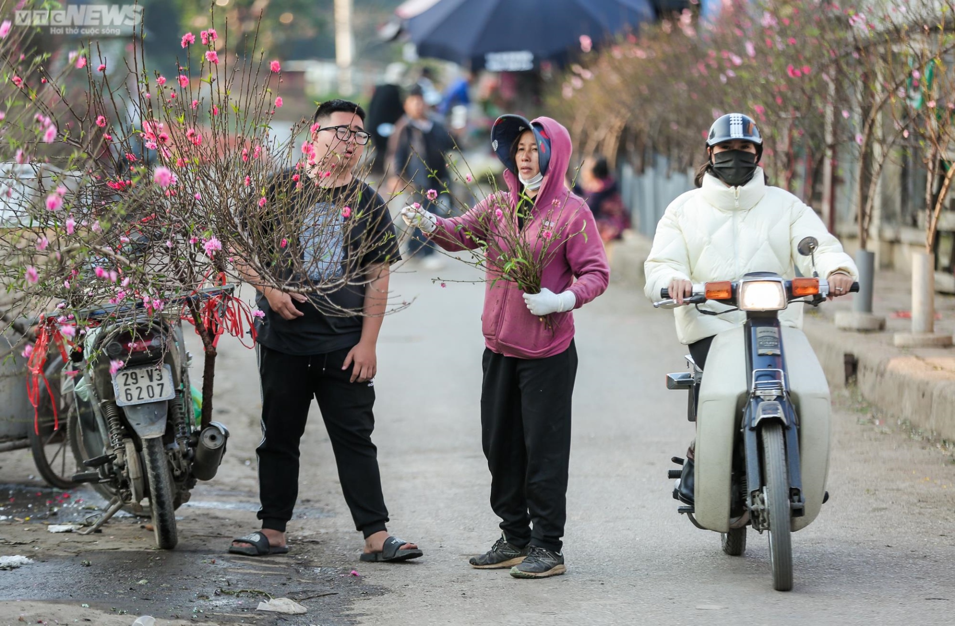 Người Hà Nội háo hức tìm mua đào nở sớm - Ảnh 5.