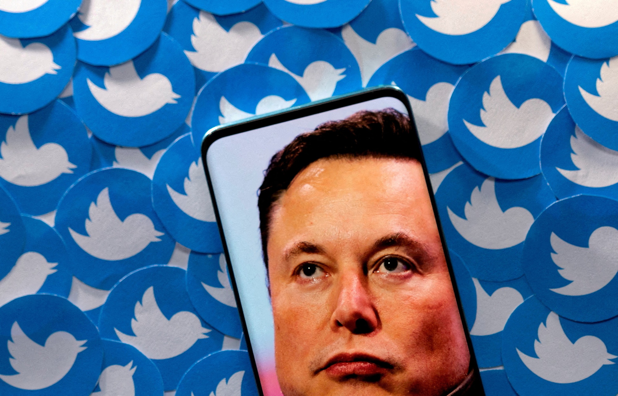 Elon Musk muốn tìm người 'đủ ngốc' thay mình làm CEO Twitter - Ảnh 1.