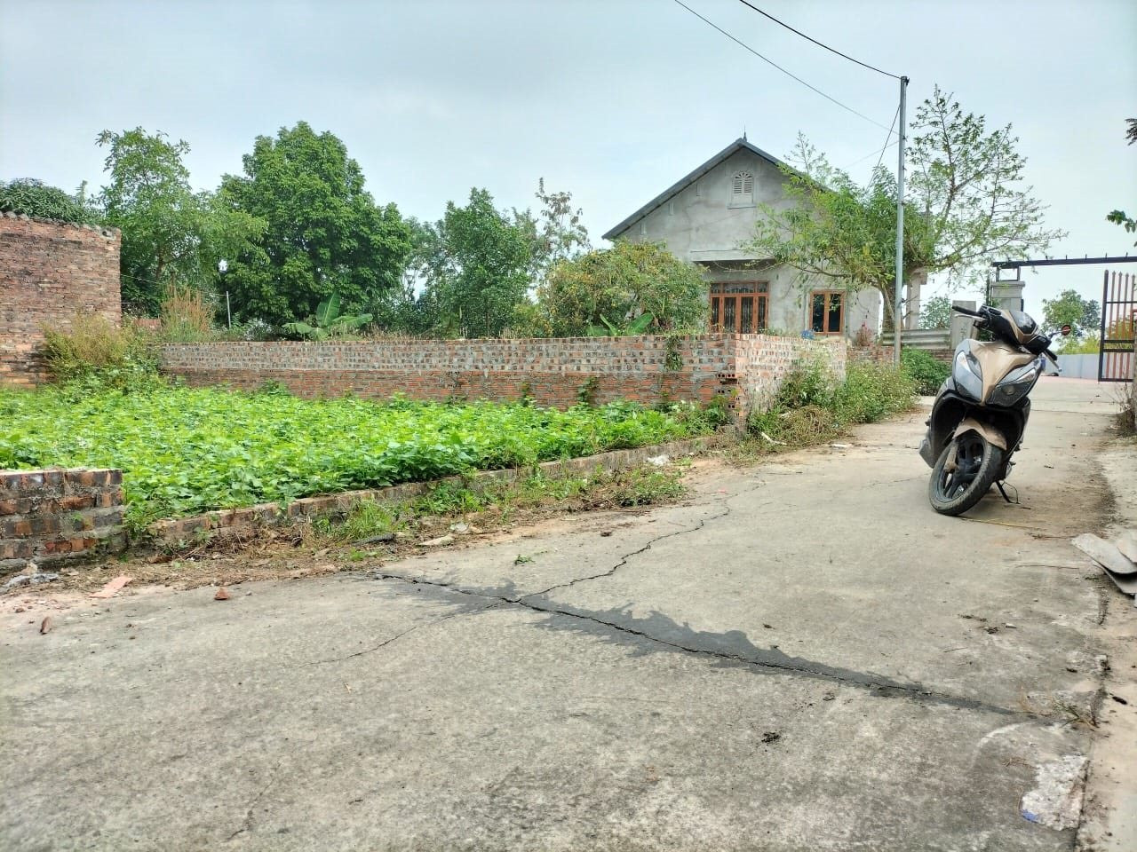 Ngược đời đôi vợ chồng bán chung cư lấy tiền đi vợt đất nền “ngộp” - Ảnh 1.