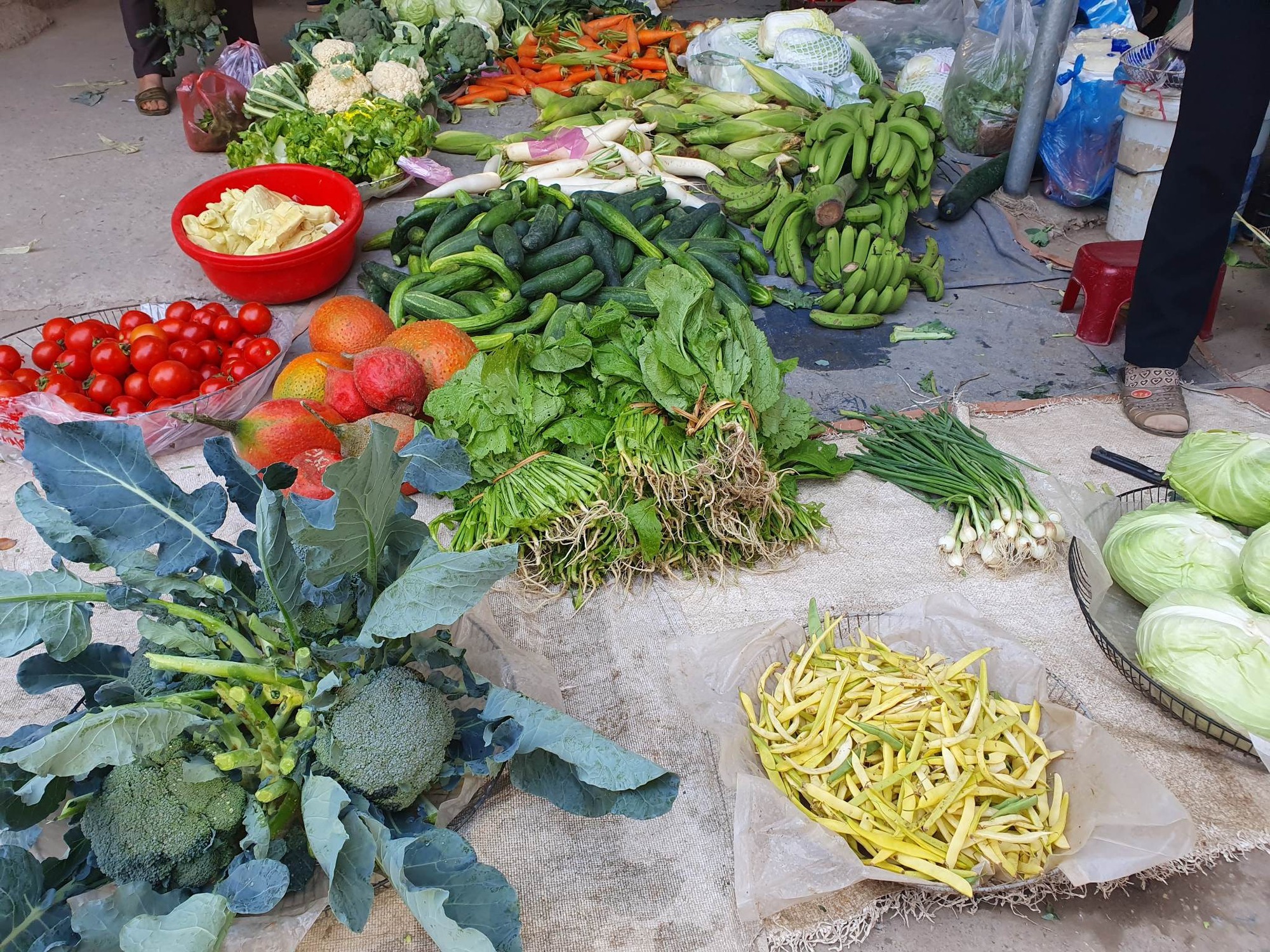 Giá rau xanh tăng chóng mặt: Người độc thân bỏ ăn healthy, lẩu rau ngày rét bỗng trở thành món &quot;xa xỉ&quot;  - Ảnh 4.