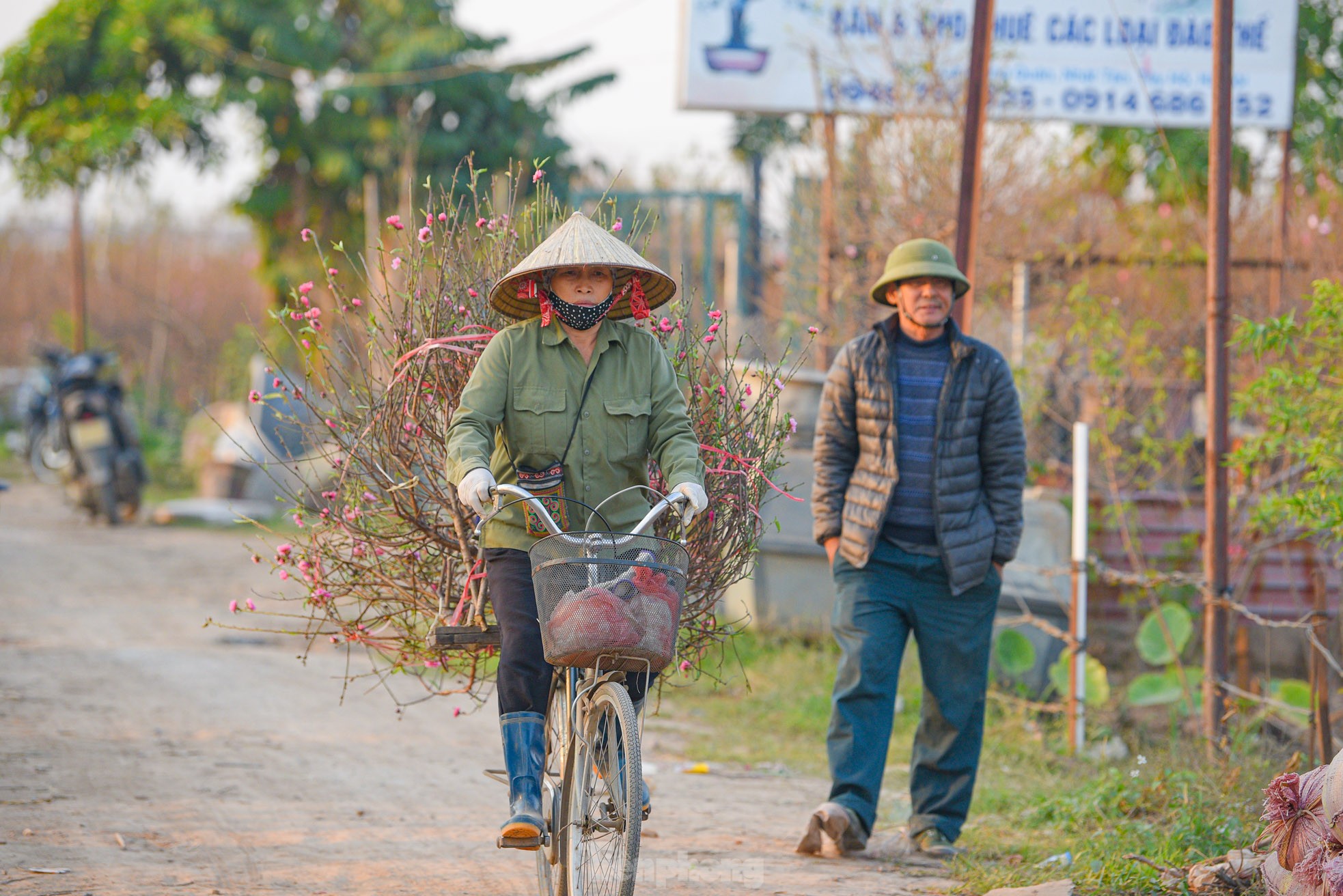 Đào nở sớm, bắt đầu xuống phố đón Tết Dương lịch - Ảnh 6.