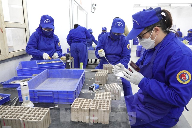 Khám phá quy trình sản xuất 3 triệu giàn pháo hoa cung ứng thị trường Tết 2023 - Ảnh 6. Khám phá quy trình sản xuất 3 triệu giàn pháo hoa cung ứng thị trường Tết 2023 - Ảnh 6.