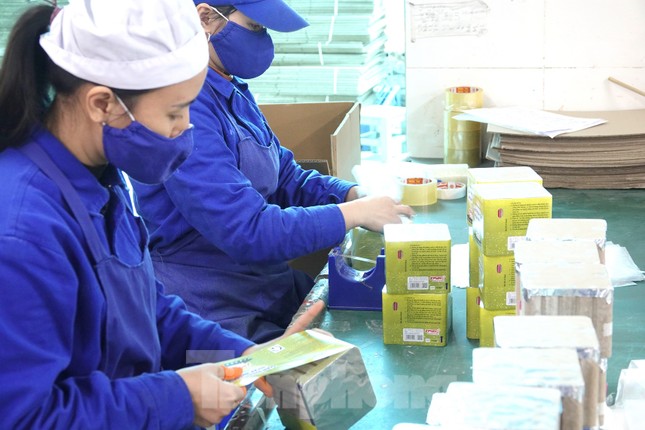 Khám phá quy trình sản xuất 3 triệu giàn pháo hoa cung ứng thị trường Tết 2023 - Ảnh 7. Khám phá quy trình sản xuất 3 triệu giàn pháo hoa cung ứng thị trường Tết 2023 - Ảnh 7.