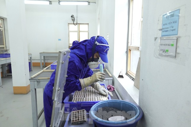 Khám phá quy trình sản xuất 3 triệu giàn pháo hoa cung ứng thị trường Tết 2023 - Ảnh 2. Khám phá quy trình sản xuất 3 triệu giàn pháo hoa cung ứng thị trường Tết 2023 - Ảnh 2.
